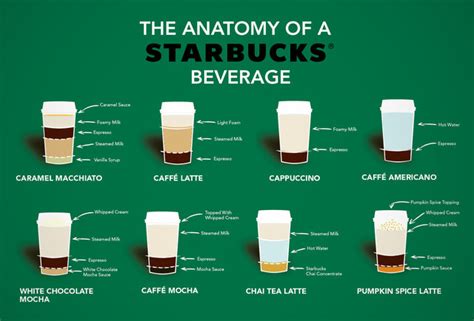 Anatomy Of A Starbucks Beverage Infographic