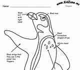Popper Penguins sketch template