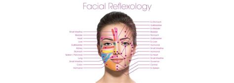 facial reflexology in durham holistic healing therapies