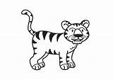 Tiger Coloring Pages Large sketch template