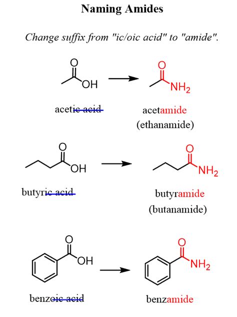 naming amides chemistry steps