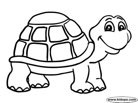 turtle  coloring page gambar hewan ilustrasi hewan binatang