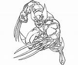 Wolverine Clipartmag Coloringhome sketch template