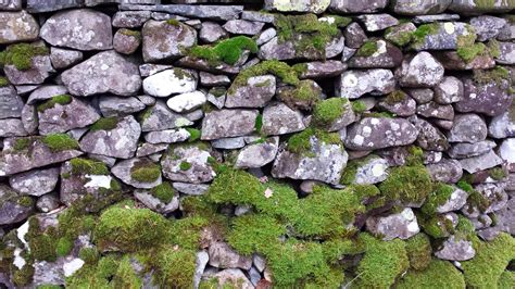 mossy stones ooh pretty
