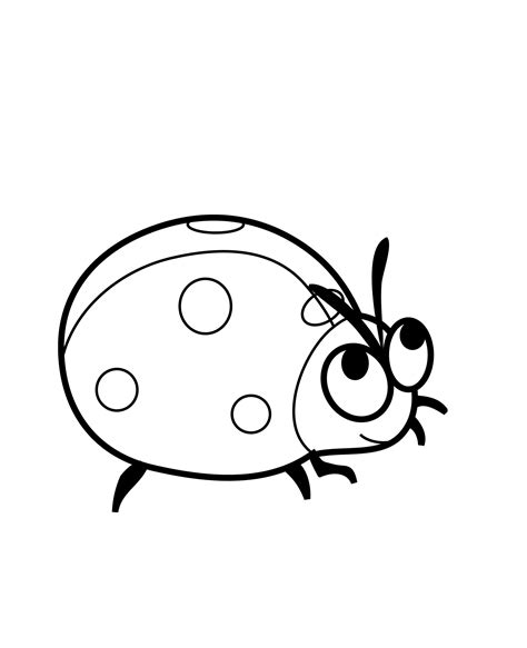 ladybug coloring pages  blank coloring pages