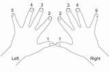 Piano Finger Numbers Music Sheet Fingers Songs Scales Primer Level First Scale Task sketch template