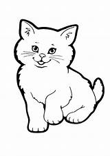 Fluffy Kitten Kittens Cricut sketch template