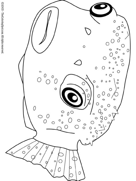 puffer fish coloring pages printable coloring pages