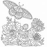 Kolorowanka Motyl Relaksacyjna Motyle Wydrukowania Kolorowanki Rysunki Madzia sketch template