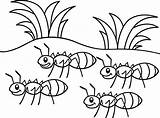 Colorir Ants Formiga Desenhos Marching Ant Formigas Grasshopper Homem Independencia Héroes sketch template