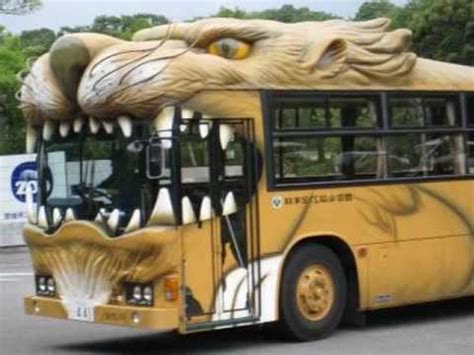 funny bus pictures youtube