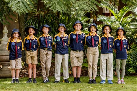 sections  scouts queensland