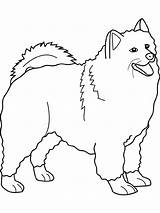 Coloring Samoyed Pages Dog Dogs Color Printable Kids Printables Drawings Bing Designlooter Colouring 24kb 720px Print Pattern sketch template