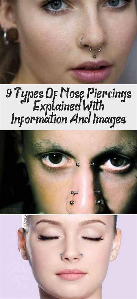 9 Types Of Nose Piercings Explained With Information And Images