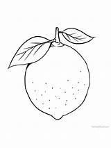 Fruit Borboletas Genus Coloriage Limes Gaddynippercrayons sketch template