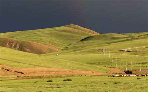 green steppe  mongolia copyright  photo   vorel libreshot