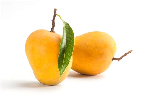 top  mango varieties  types mango list listaka