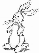 Rabbit Coloring Pages Kids Print Color Simple Children Printable Justcolor sketch template