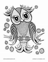Owls Hibou Erwachsene Gufi Eulen Joli Hiboux Adulti Malbuch Gufo Animaux Tendresse Plein Yeux Coloriages Justcolor sketch template