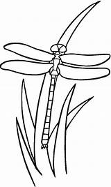 Dragonfly Coloring Grass Pages Printable Kids Color Dragonflies Bestcoloringpagesforkids Colouring Clipart Clipartbest Libellule Patterns Clip Bible sketch template