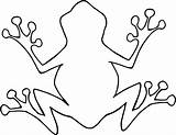 Frog Outline Template Tree Choose Board Eyed Red sketch template