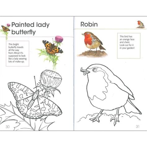 coloring pages  british garden birds coloring page bird feeder