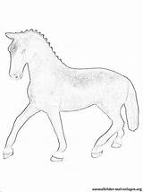 Schleich Pferde Malvorlage sketch template