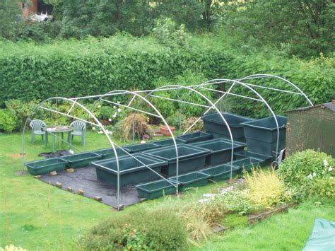 greenhouse garden aquaponics   uk