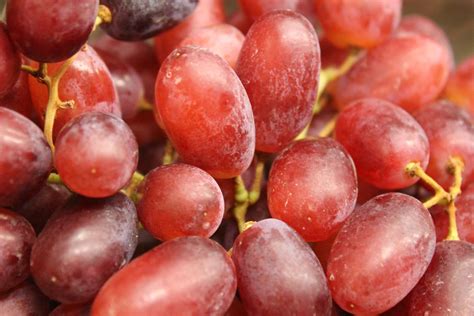 red seedless grapes   northampton grocer