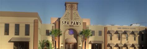 spa paws hotel atspapawshotel twitter