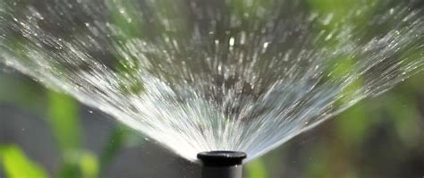 watering efficiently save time  resources   tips grow