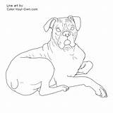 Boxer Coloring Pages Dog Down Laying Color Drawing Line Printable Kids Cattle Australian Getcolorings Own Lying Drawings Getdrawings Print sketch template