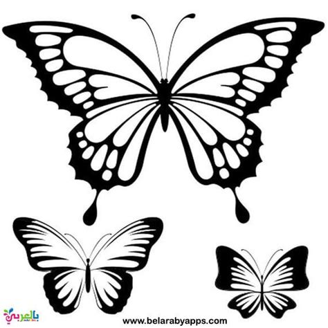 printable butterfly templates  size butterflies