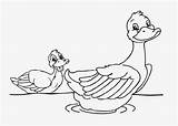 Ducks Coloring Pages sketch template