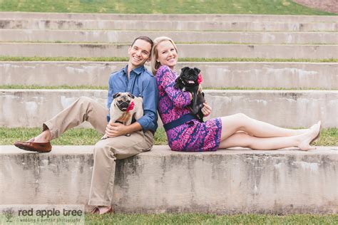 red apple tree photography pug love sara justin engagement