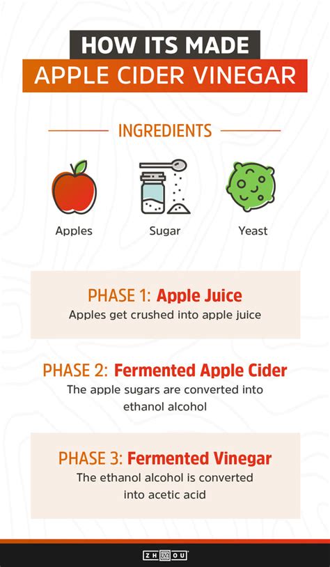 how s apple cider vinegar made here s where you can find out zhou