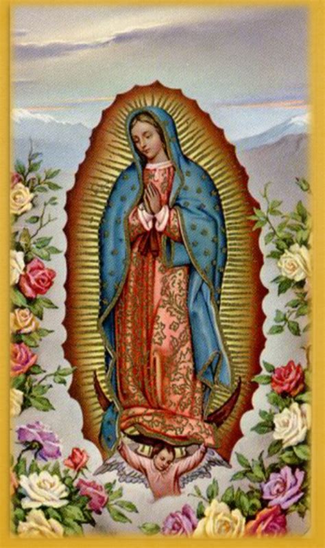 lady  humility feast   lady  guadalupe patroness