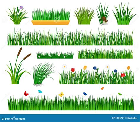 growing grass template  garden stock vector illustration  flower
