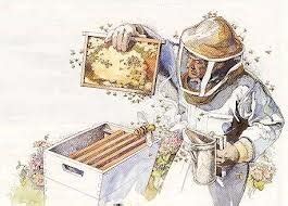 beekeeping  beginners workshop