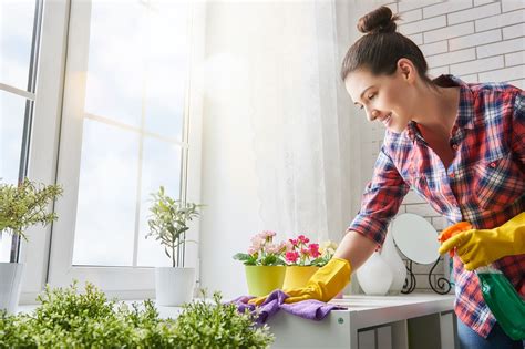 Essential Spring Cleaning Tips Lars Remodeling And Design