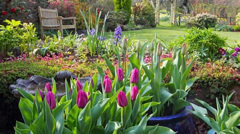 benefits  gardening forbes home