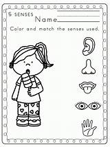 Senses Coloring Pages Five Preschool Worksheets Kids Sense Printables Printable Preschoolers Worksheet Kindergarten Activities Toddler Clipart Color Science Sheets Print sketch template