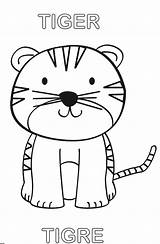 Tigre Dibujar Imprimir Euroresidentes Selva Animalitos Descargarlo Tigres Preescolar Jaguares Artículo Salvajes Seleccionar Aprendemos Pintamos sketch template
