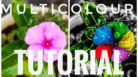 creative colour full flower editing multicolored flower tutorial