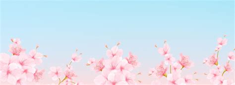 cherry blossom banner    year background peach blossom peach blossom festival