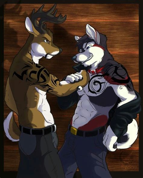 We Are The Same Here Furry Wolf Furry Art Wolf Art Cool Cartoons