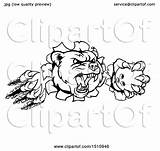 Slashing Mascot Vicious Aggressive Bear Illustration Through Royalty Bowling Paw Ball Wall Atstockillustration Clipart Vector sketch template