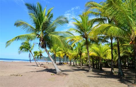 playa jaco beach costa rica ultimate guide january