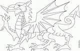 Welsh Dragon Flag Pages Wales Coloring Colouring Printable Print Dragons Coloringhome Getdrawings Getcolorings Comments sketch template