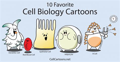 favorite cell biology cartoons cell cartoons